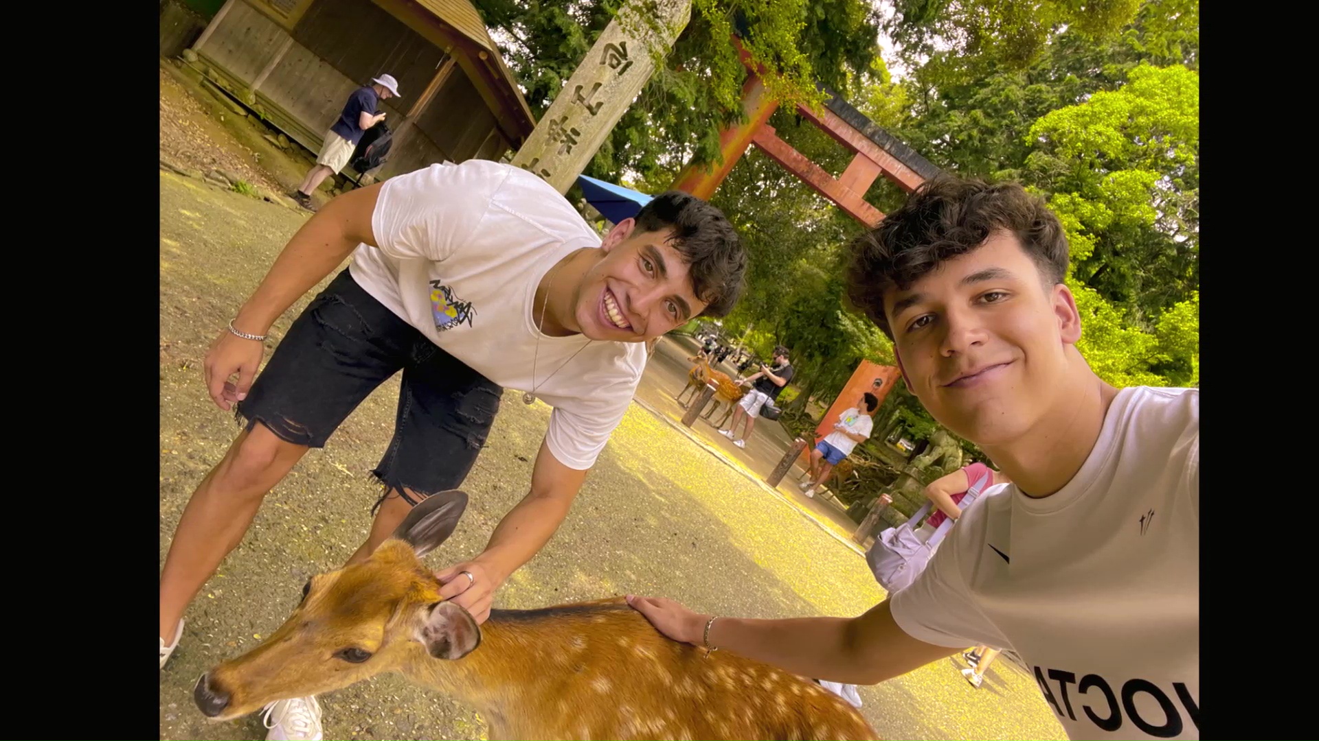 Fotos Viatge Japó